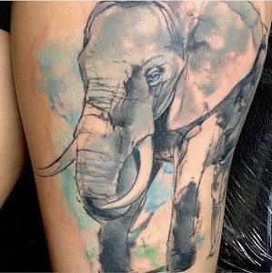 Meet your Posher, Brandy